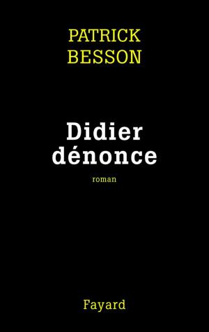Cover of the book Didier dénonce by Thierry Lentz
