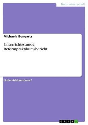 Cover of the book Unterrichtsstunde: Reformpraktikumsbericht by Bastian Franke