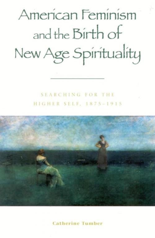 Cover of the book American Feminism and the Birth of New Age Spirituality by Catherine Tumber, Rowman & Littlefield Publishers