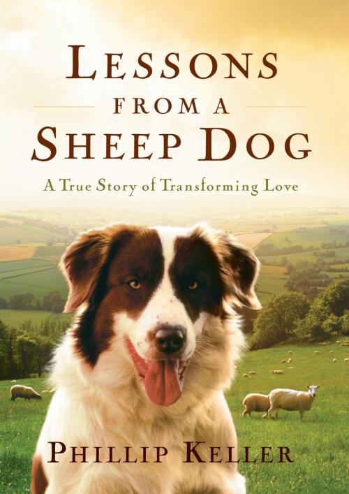 Cover of the book Lessons from a Sheep Dog by Phillip Keller, Thomas Nelson
