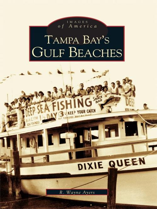 Cover of the book Tampa Bay's Gulf Beaches by R. Wayne Ayers, Arcadia Publishing Inc.
