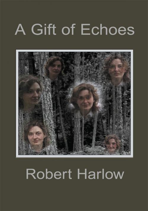 Cover of the book A Gift of Echoes by Robert Harlow, Xlibris US