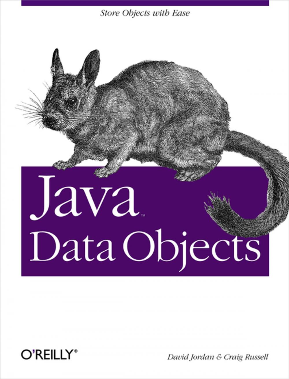 Big bigCover of Java Data Objects