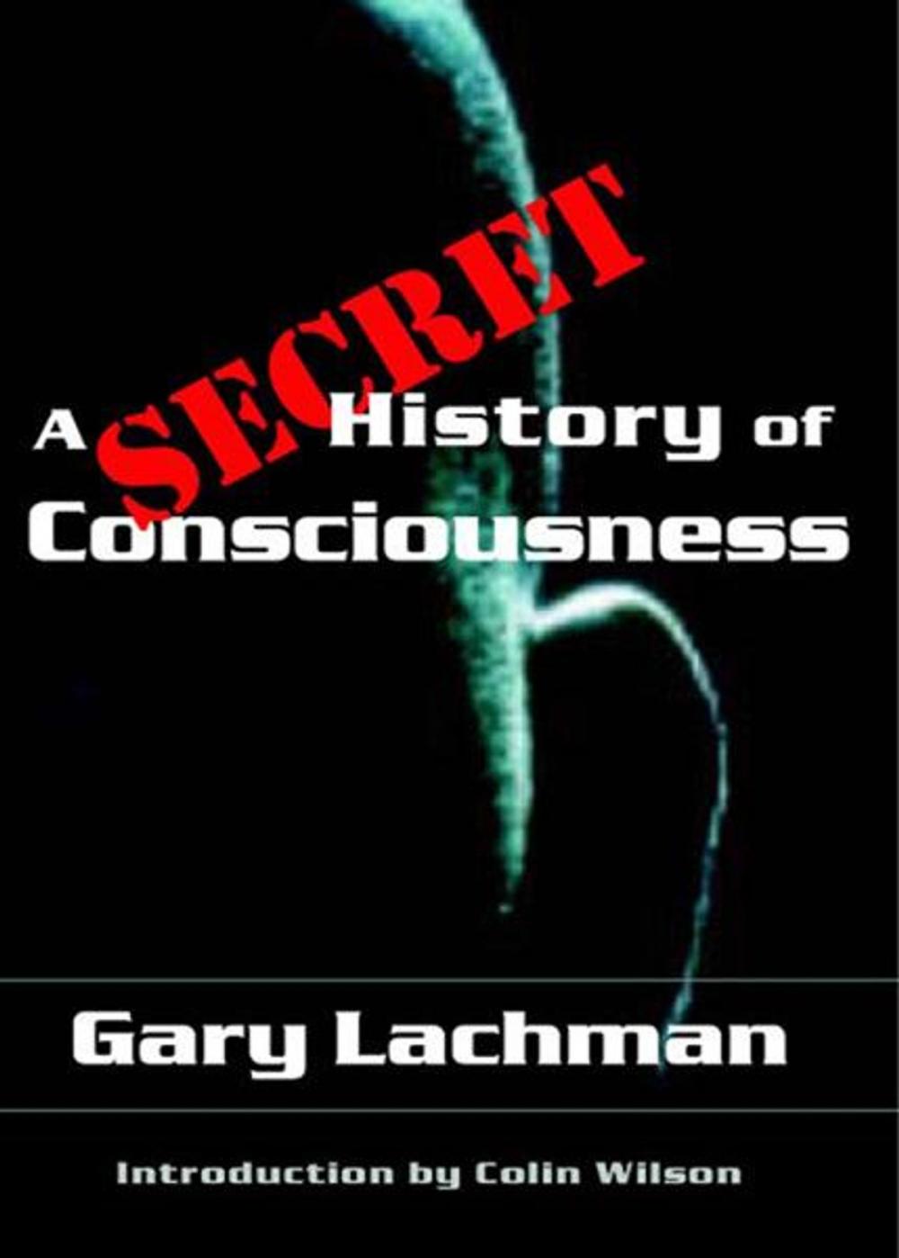 Big bigCover of A Secret History of Consciousness