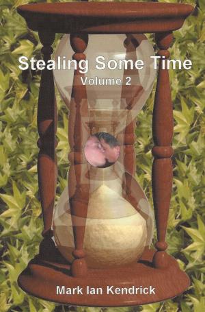 Book cover of Stealing Some Time, Volume 2