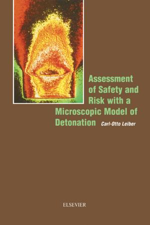 Cover of the book Assessment of Safety and Risk with a Microscopic Model of Detonation by em. Dr.-Ing Bernd Stoffel