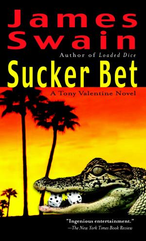 Cover of the book Sucker Bet by Kathleen Brassard