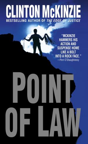 Cover of the book Point of Law by Freddie Lee Johnson, III