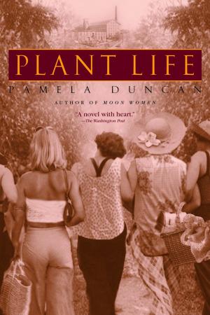 Cover of the book Plant Life by Judy Baker