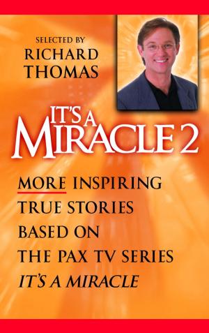 Cover of the book It's a Miracle 2 by Louis L'Amour