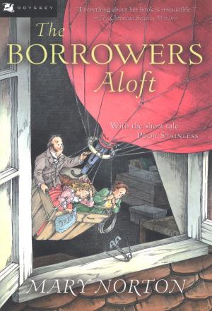 Book cover of The Borrowers Aloft