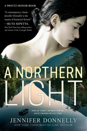 Cover of the book A Northern Light by Eve Bunting