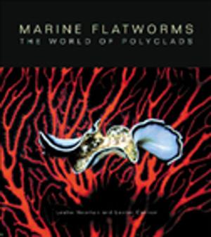 Cover of the book Marine Flatworms by Geoff Baker, Vicki Barrett