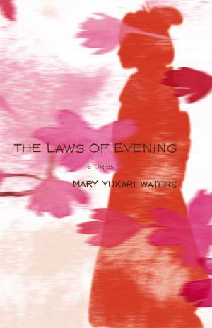 Cover of the book The Laws of Evening by Erika Krouse