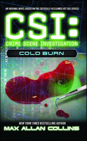 Cover of the book Cold Burn by Anne Canadeo