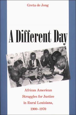 Cover of the book A Different Day by Horace R. Cayton, George S. Mitchell