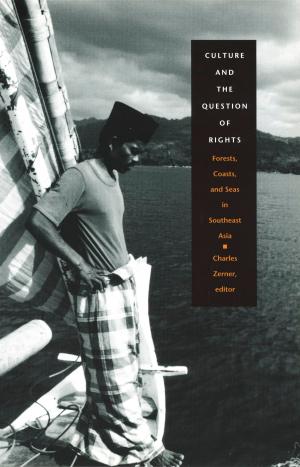 Cover of the book Culture and the Question of Rights by Caren Kaplan