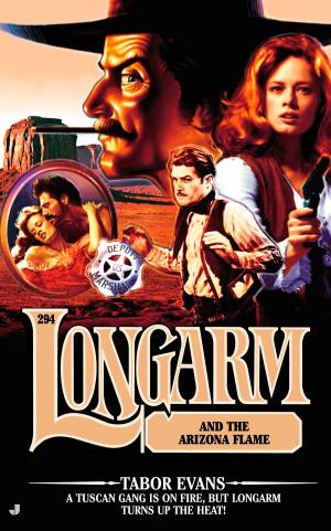 Cover of the book Longarm #294/Arizona Flame by Anthony J. Cichoke