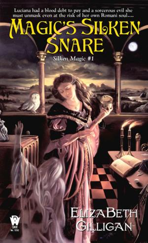 Cover of the book Magic's Silken Snare (Silken Magic # 1) by Margaret Fortune