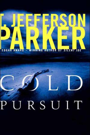 Cover of the book Cold Pursuit by John Doe, Tom DeSavia
