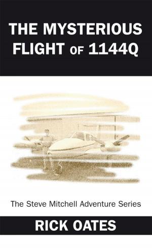Book cover of The Mysterious Flight of 1144Q