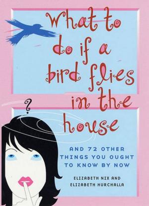 Cover of the book What to Do If a Bird Flies in the House by Antonia Chitty