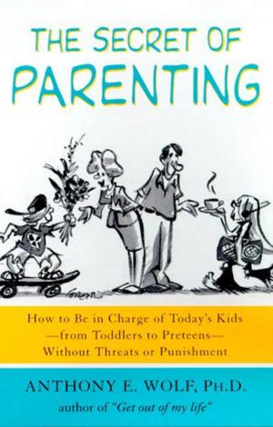 Cover of the book The Secret of Parenting by David Rothkopf