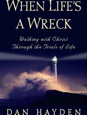 Cover of the book When Life's a Wreck by Tim Chester, Steve Timmis