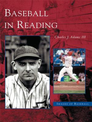 Cover of the book Baseball in Reading by Jennifer L. Krintz