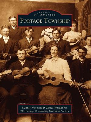 bigCover of the book Portage Township by 
