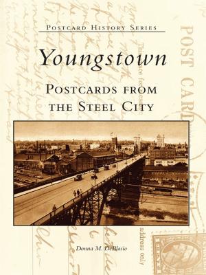 Cover of the book Youngstown Postcards From the Steel City by Gregg Mangan