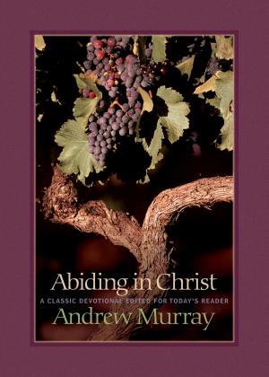 Cover of the book Abiding in Christ by Dr. Larry Crabb
