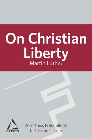 Cover of the book On Christian Liberty by Mahri Leonard-Fleckman
