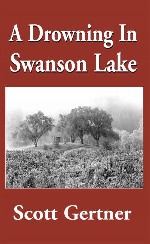 bigCover of the book A Drowning in Swanson Lake by 