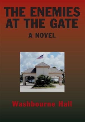 Cover of the book The Enemies at the Gate by Heather Vallellanes