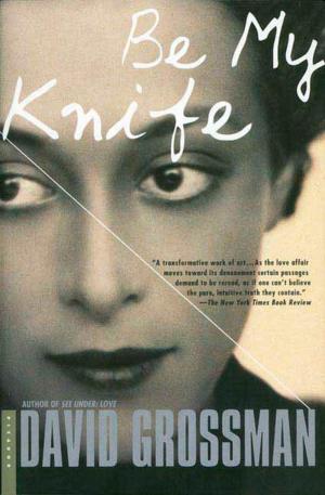Cover of the book Be My Knife by Michelle Huneven