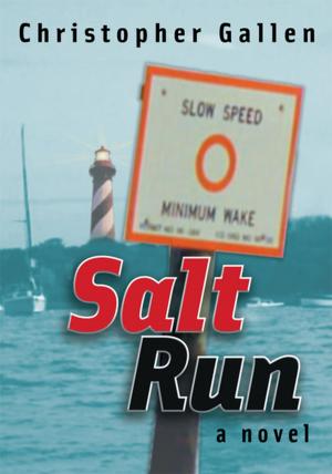 Cover of the book Salt Run by Bill Schermbrucker