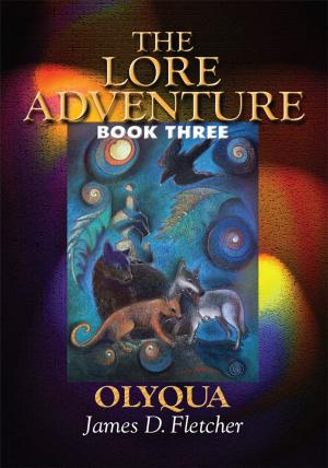 Cover of the book The Lore Adventure by David C. Pearce