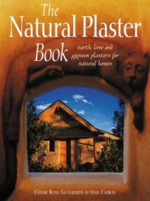 Cover of the book Natural Plaster Book by Michael Henry, Tina Therrien