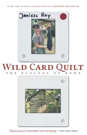 Cover of the book Wild Card Quilt by Ken Kalfus