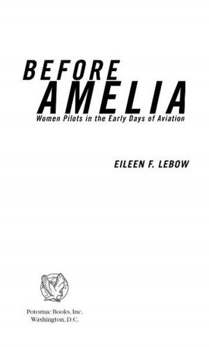Cover of the book Before Amelia by Yaakov Lappin