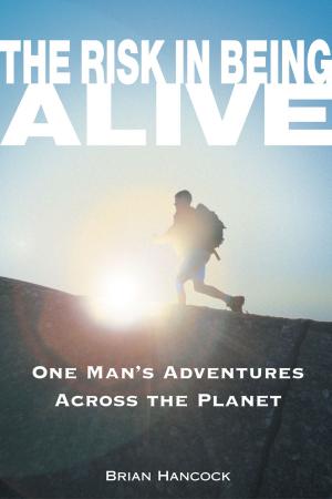 Cover of the book The Risk in Being Alive by Nellie Huang