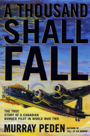 Cover of the book A Thousand Shall Fall by Bryan Cummins