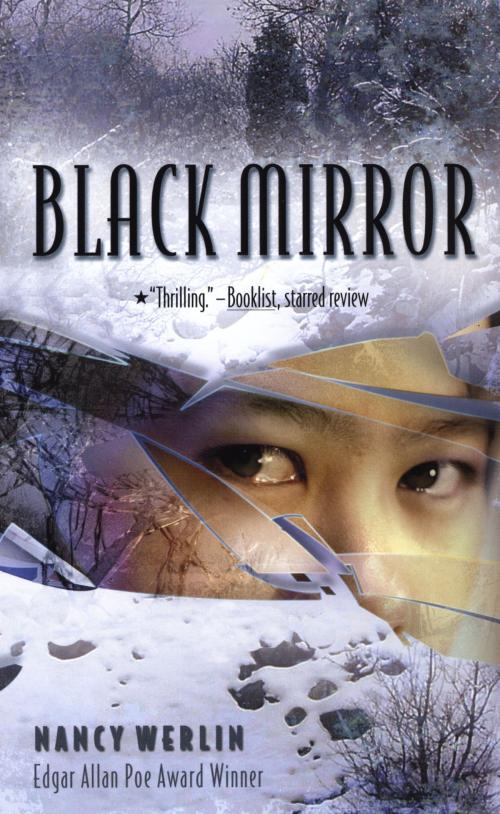 Cover of the book Black Mirror by Nancy Werlin, Penguin Young Readers Group