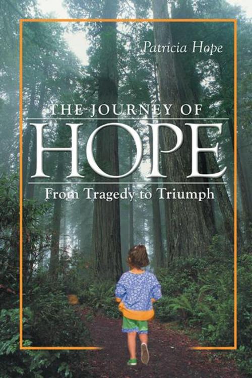 Cover of the book The Journey of Hope by Patricia Hope, AuthorHouse