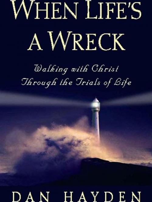 Cover of the book When Life's a Wreck by Dan Hayden, Crossway