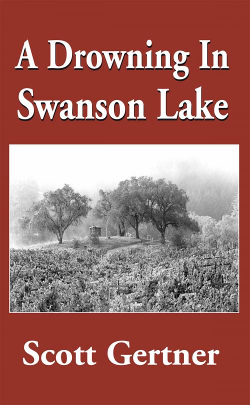 Cover of the book A Drowning in Swanson Lake by Scott Gertner, Xlibris US