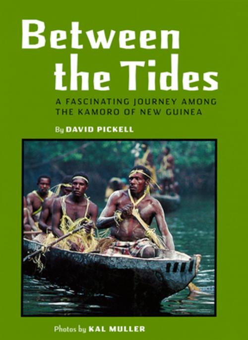 Cover of the book Between the Tides by David Pickell, Tuttle Publishing