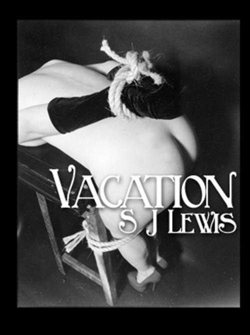 Cover of the book Vacation by SJ Lewis, Pink Flamingo Publications
