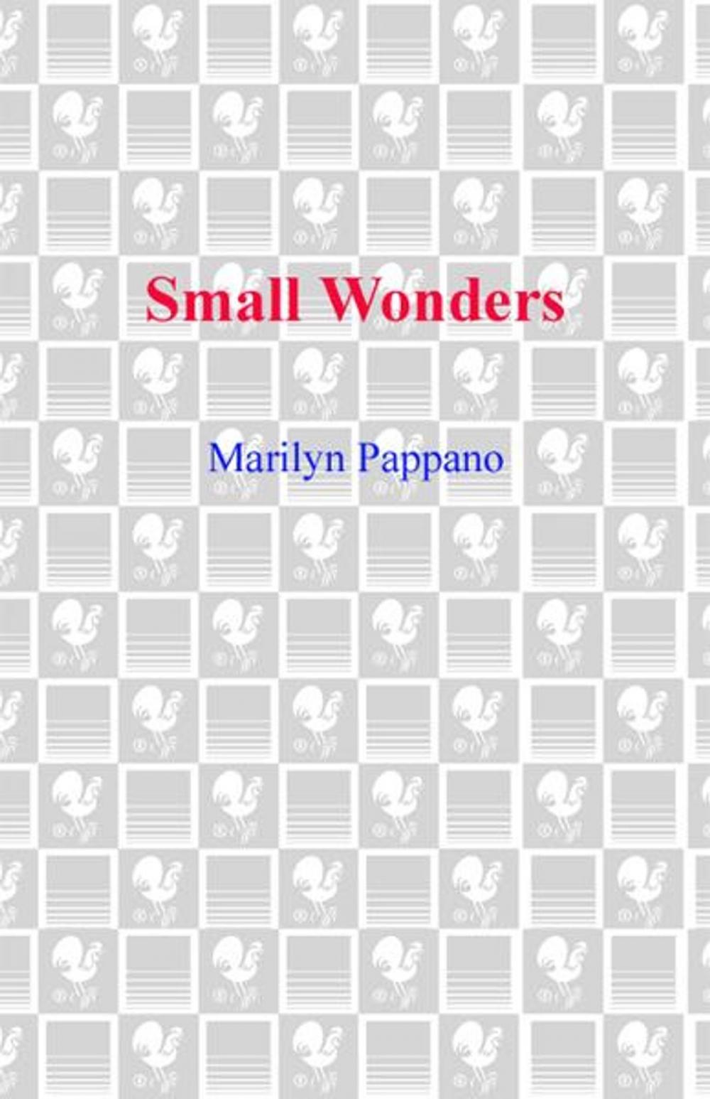 Big bigCover of Small Wonders